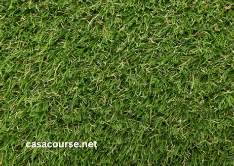 abdellatifturf|daipazon du turf.